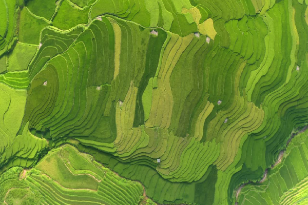 Mu Cang Chai Tour 3 Days - photo 42